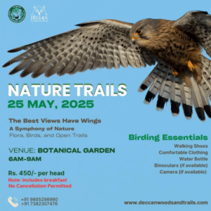 Nature Trails – A Symphony of Nature
