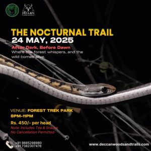 The Nocturnal Trail - Experience the Pulse of the Nocturnal World
